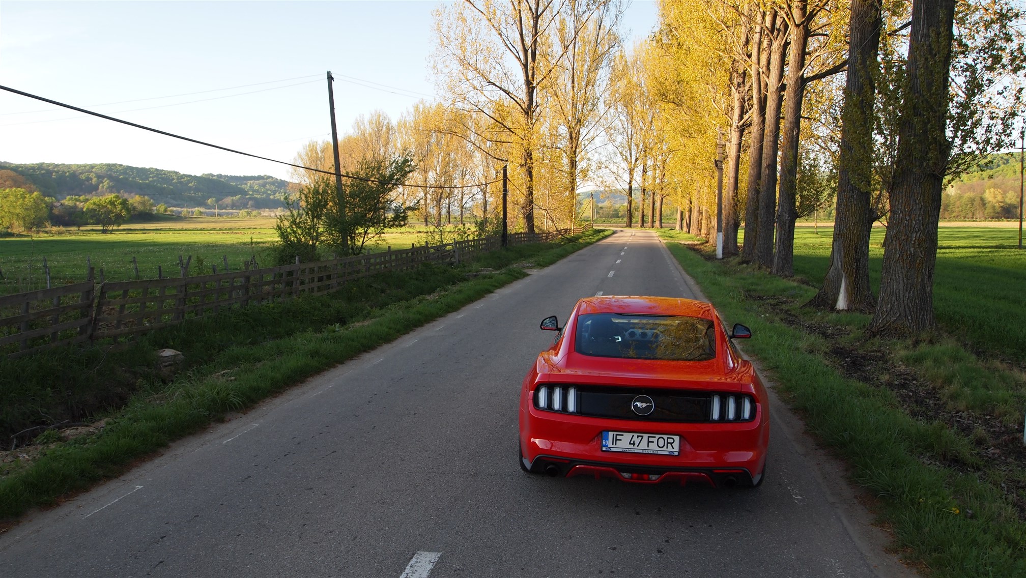 Ford Mustang (21)
