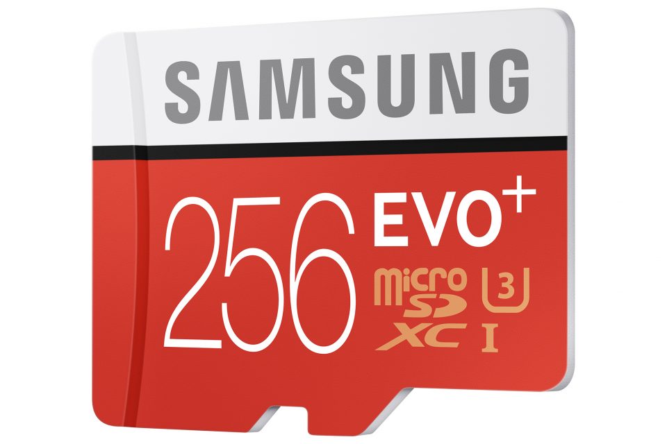jpgEVO-Plus-256GB-microSD-card_02