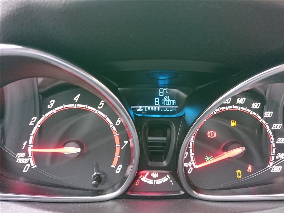 Consum mediu Ford Fiesta ST200